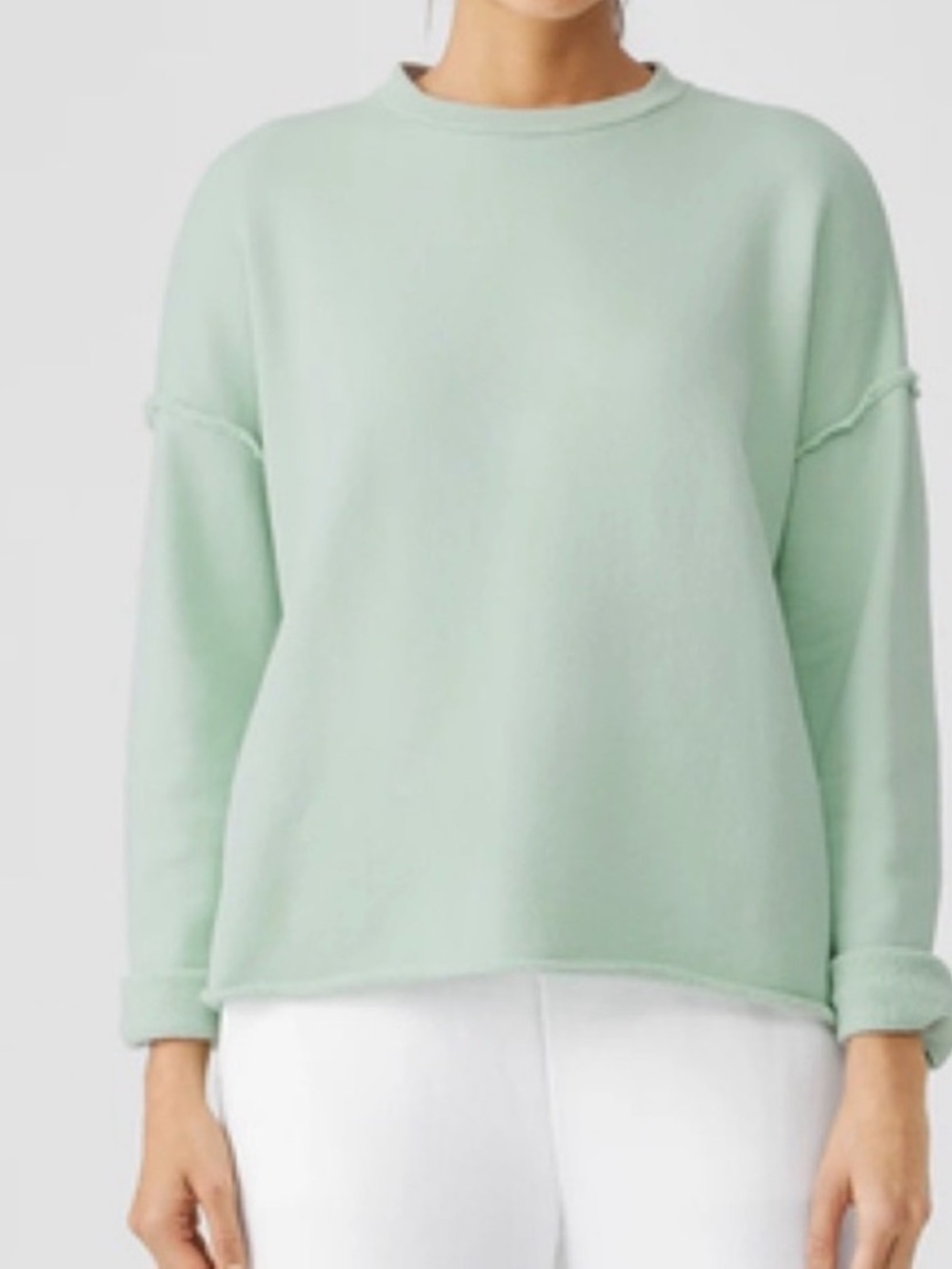 Eileen Fisher Organic Cotton French Terry Box Crew Top Light Green/Blue